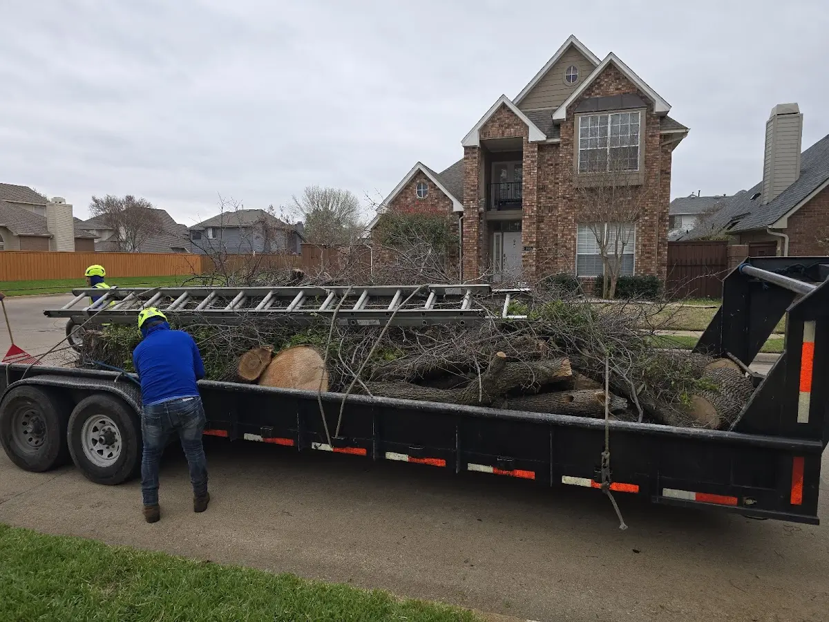 Expert Tree Pest Control with proper safety equipment in De Witt